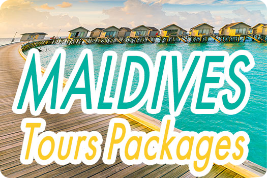 maldivestourspackages logo